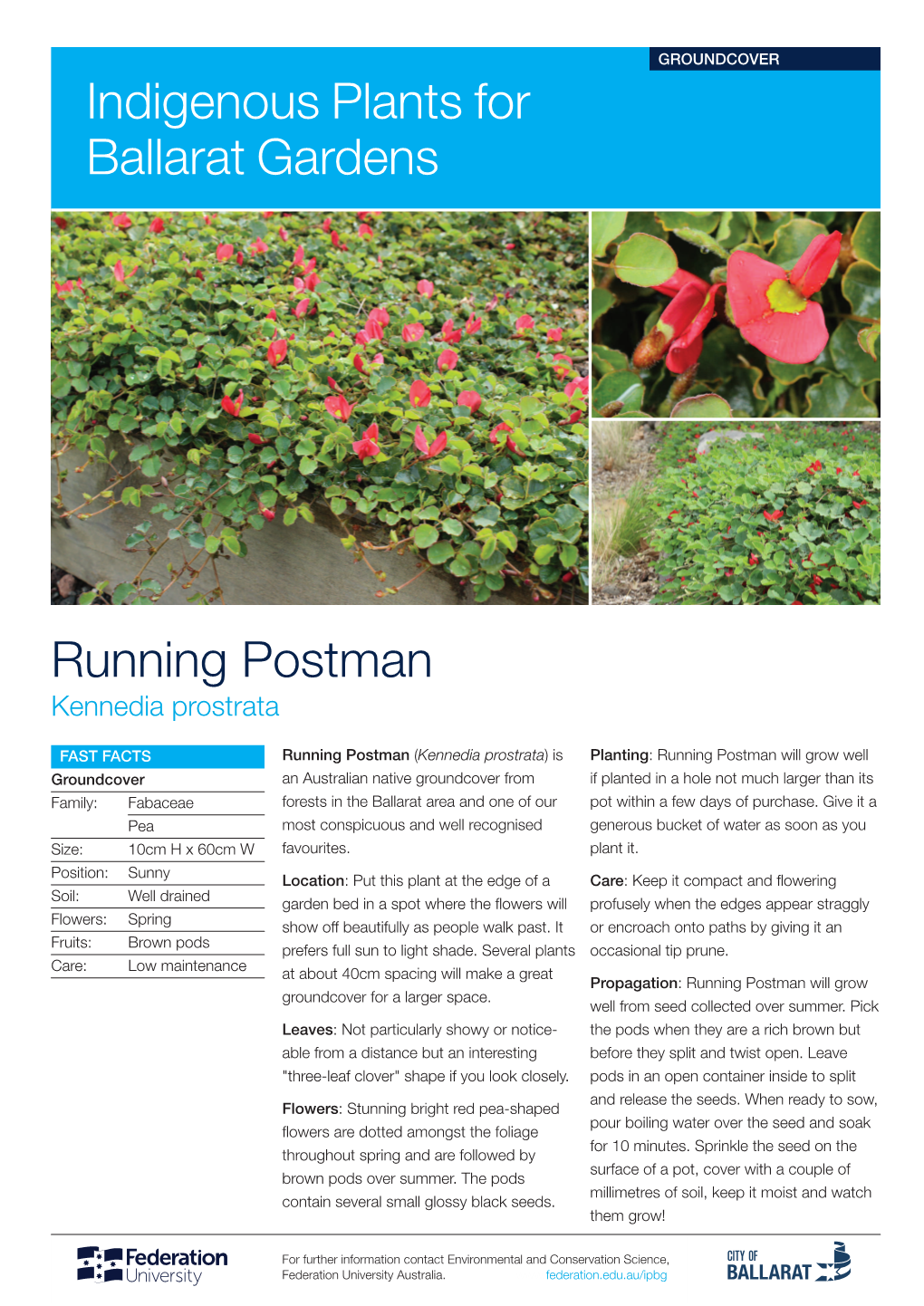 Running Postman Indigenous Plants for Ballarat Gardens