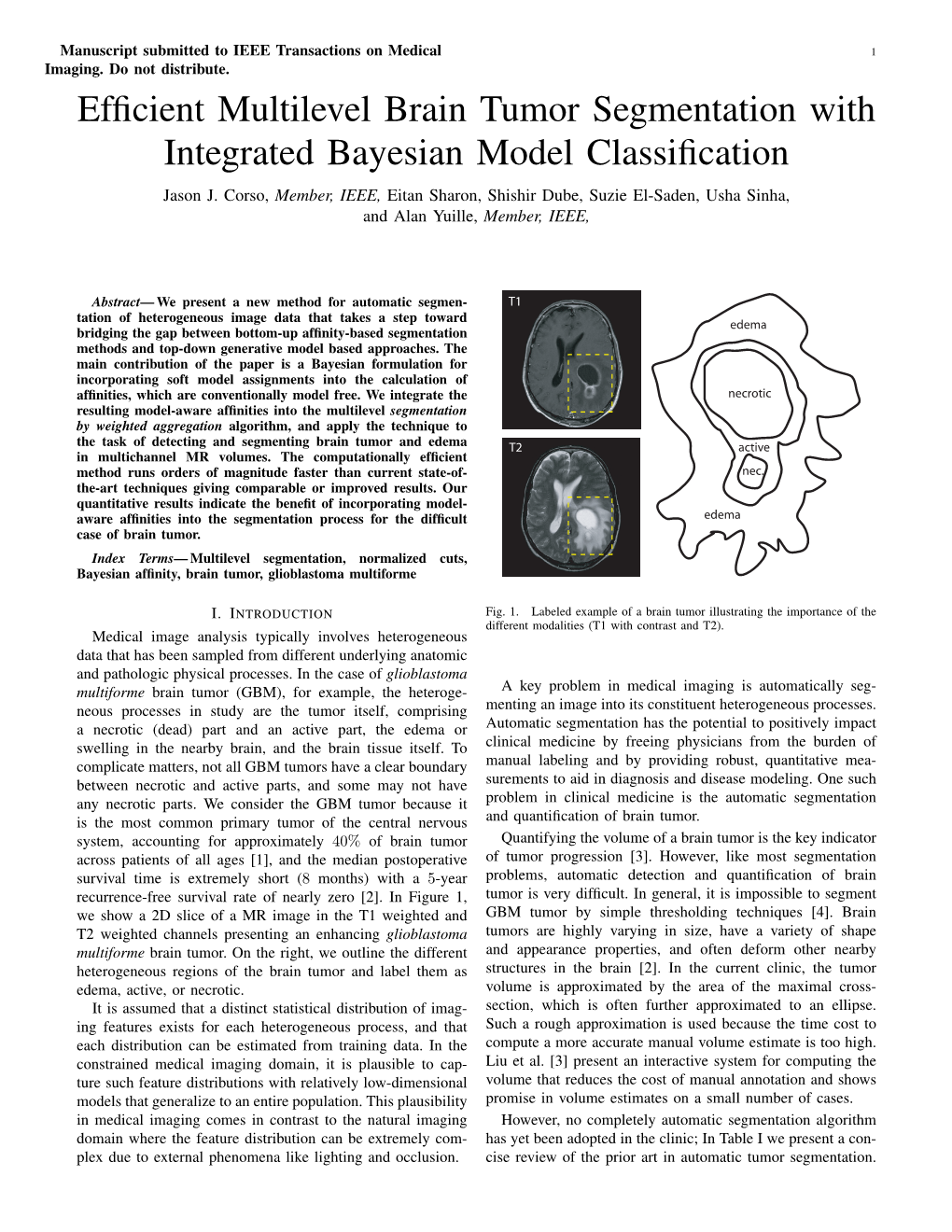 Efficient Multilevel Brain Tumor Segmentation with Integrated