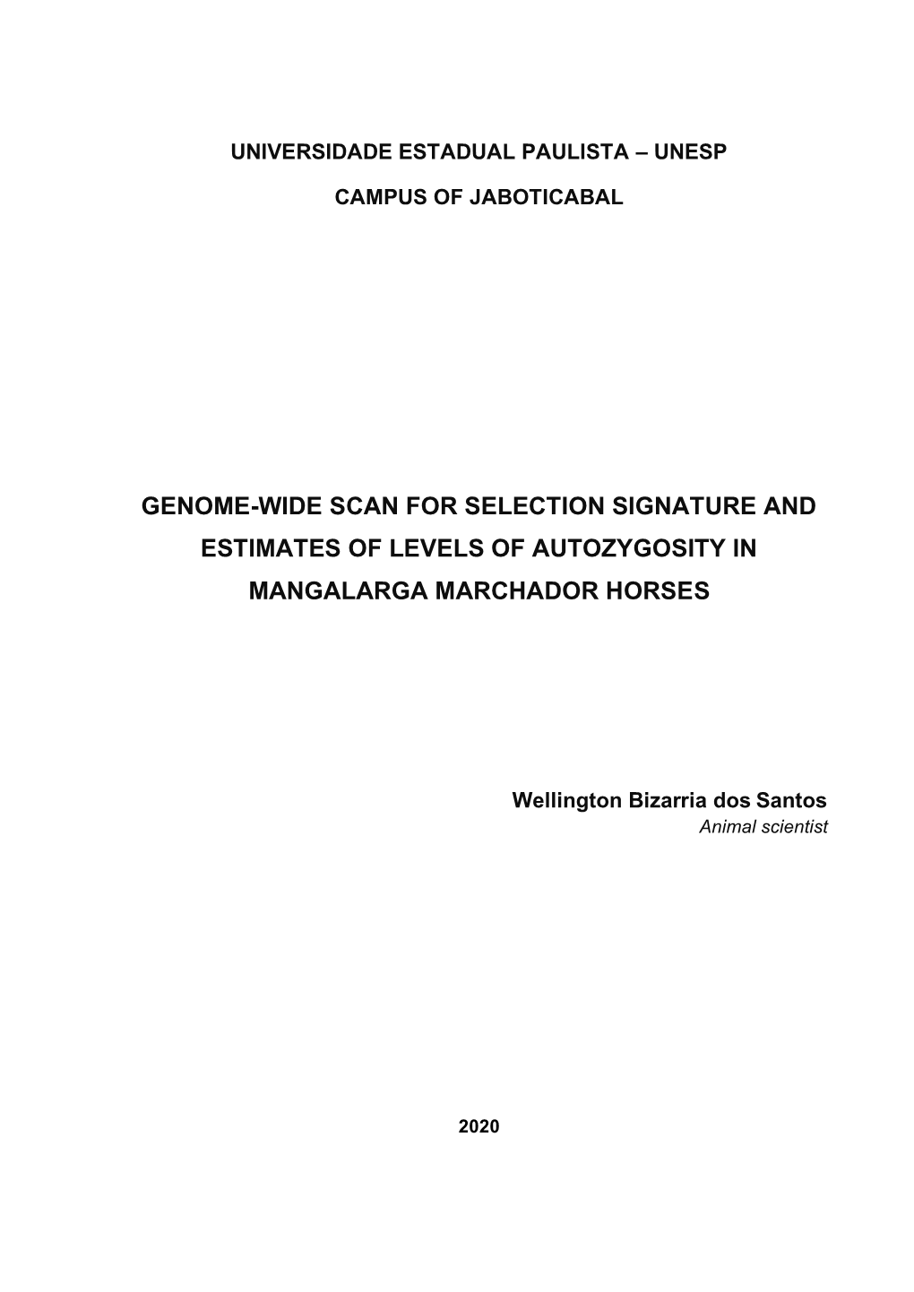 Genome-Wide Scan for Selection Signature and Estimates of Levels of Autozygosity in Mangalarga Marchador Horses