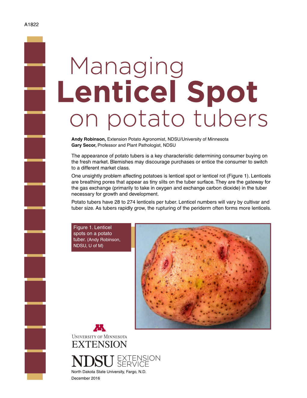 A1822 Managing Lenticel Spot on Potato Tubers