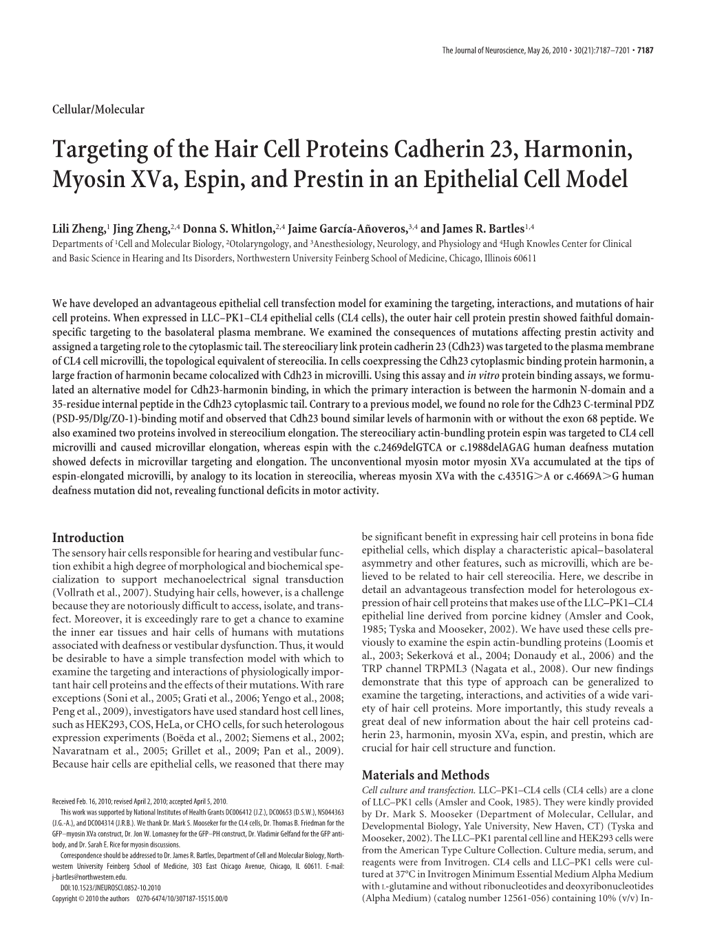 Targeting of the Hair Cell Proteins Cadherin 23, Harmonin, Myosin Xva, Espin, and Prestin in an Epithelial Cell Model