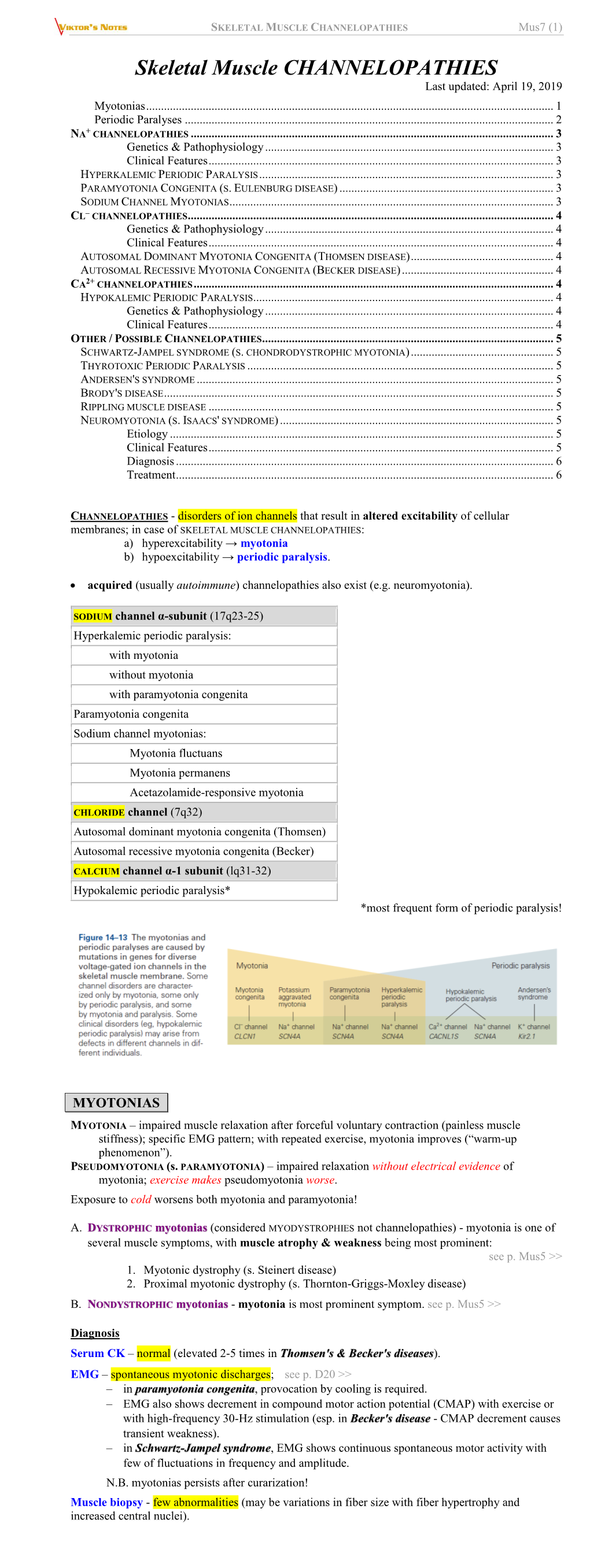 SKELETAL MUSCLE CHANNELOPATHIES Mus7 (1)