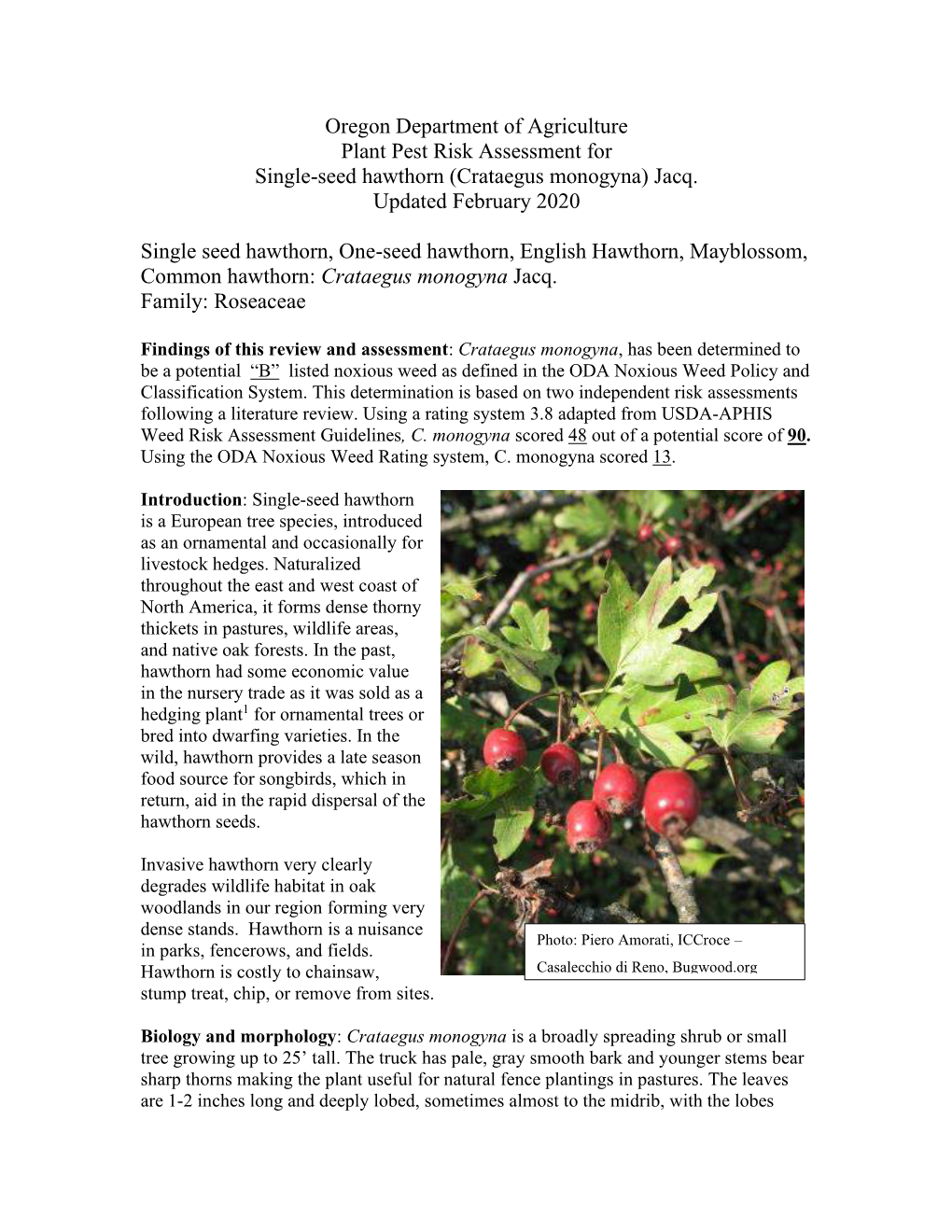 English Hawthorn Plant Pest Risk Assessment