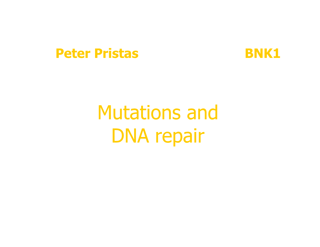Mutation Repair Prin
