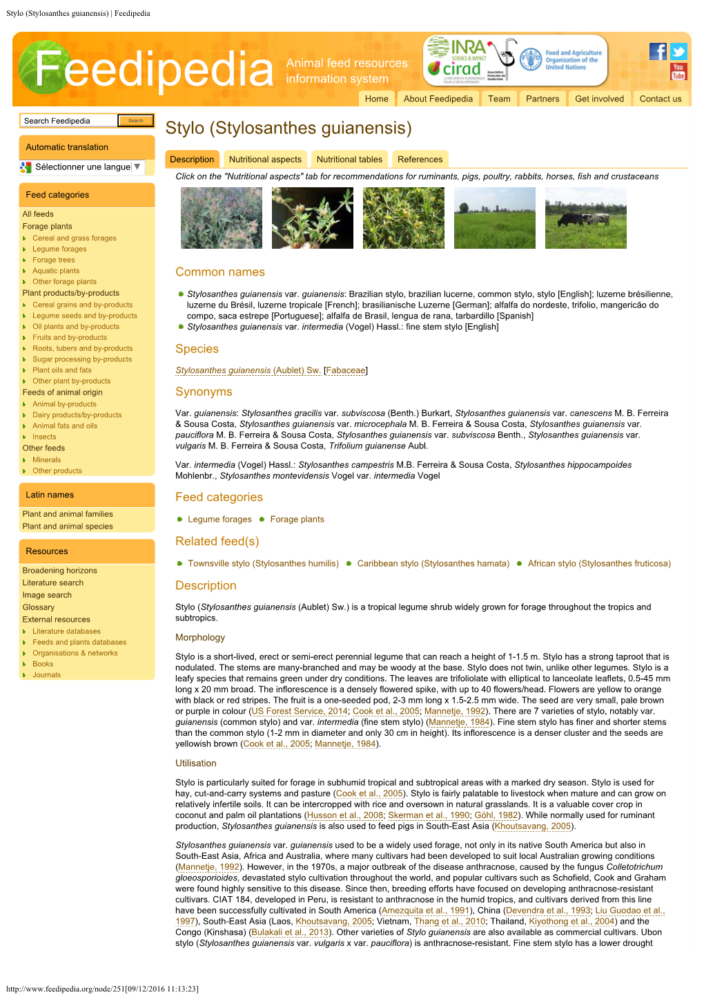 Stylo (Stylosanthes Guianensis) | Feedipedia