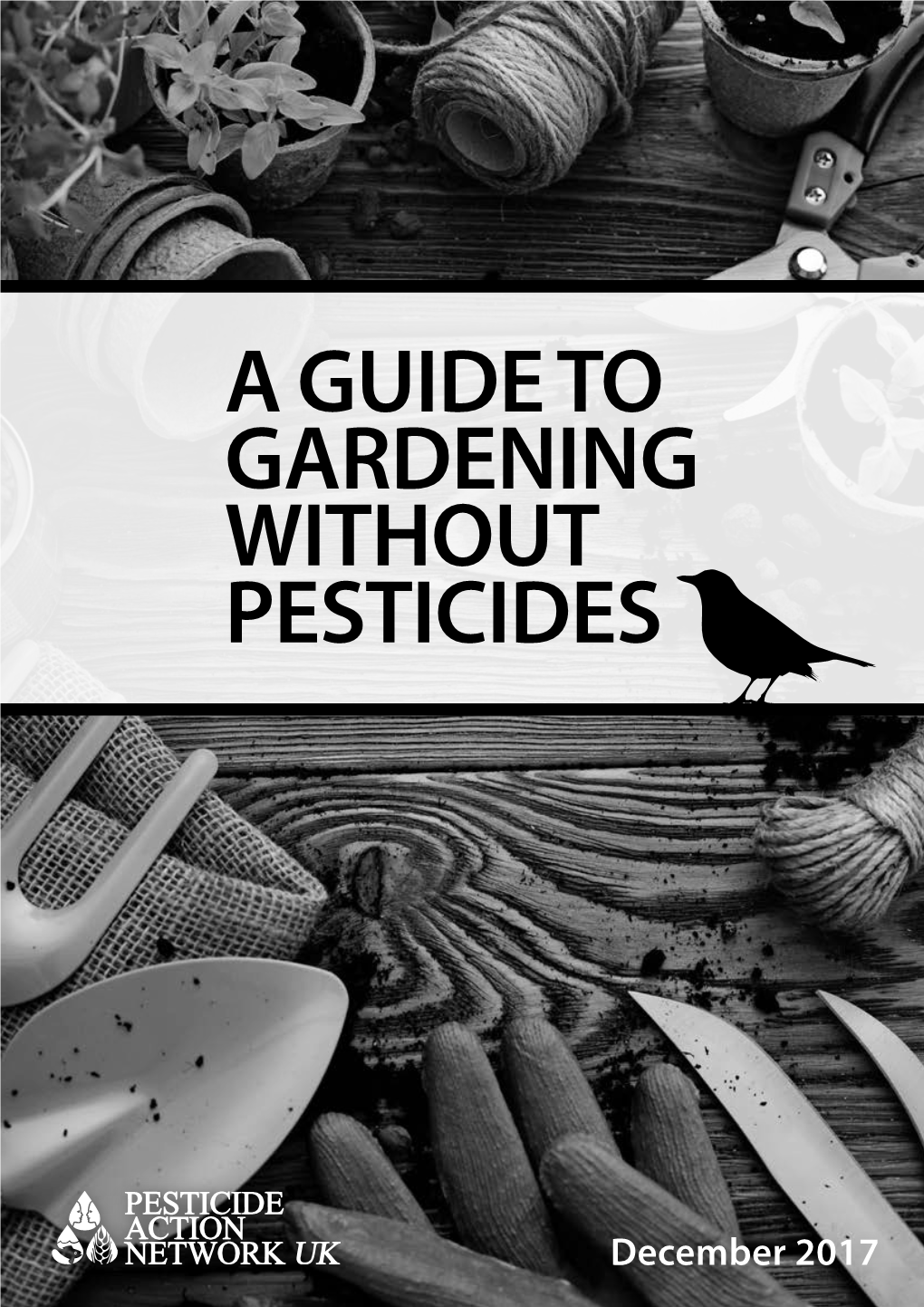 A Guide to Gardening Without Pesticides