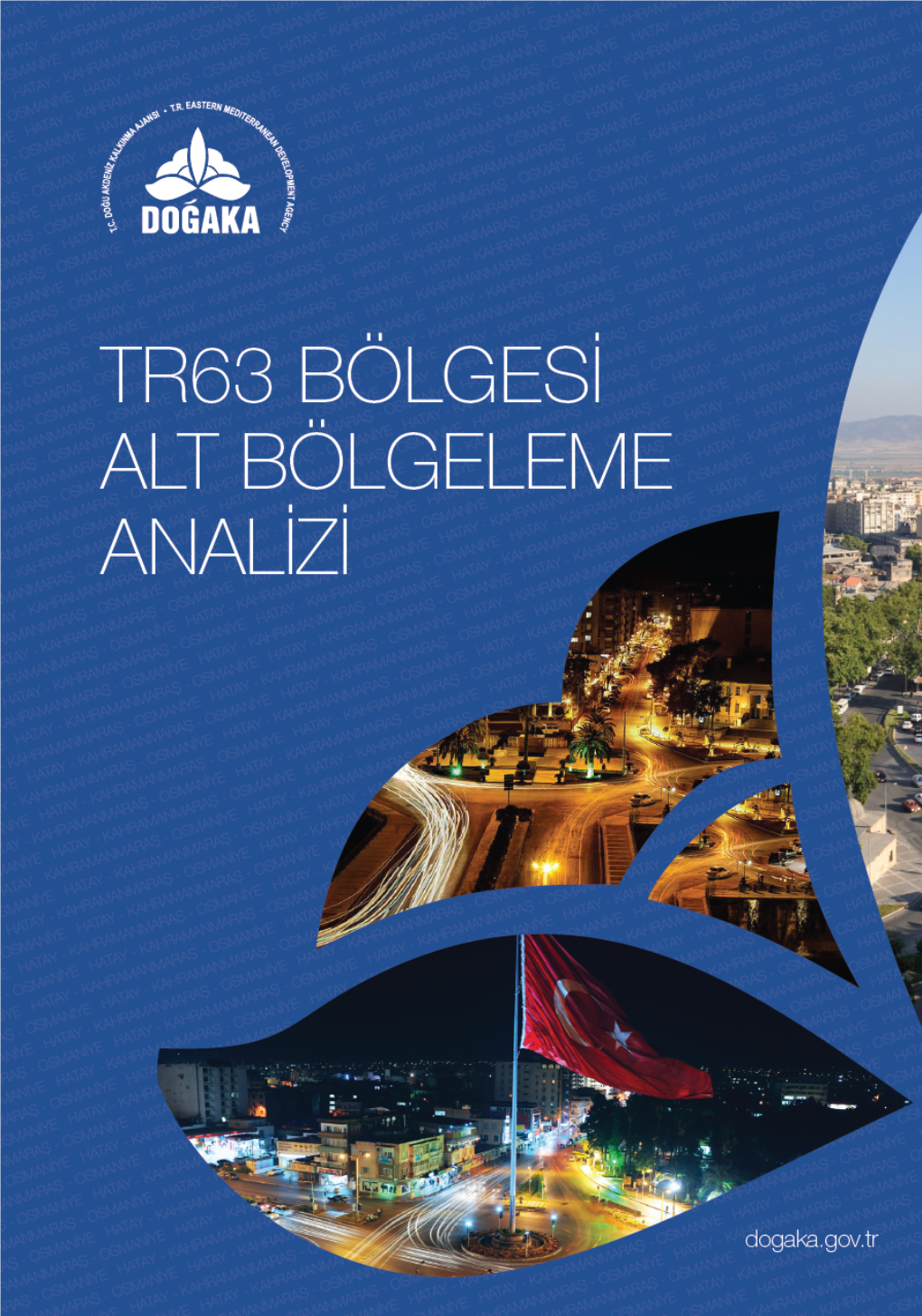 Tr63 Bölgesi Alt Bölgeleme Analizi