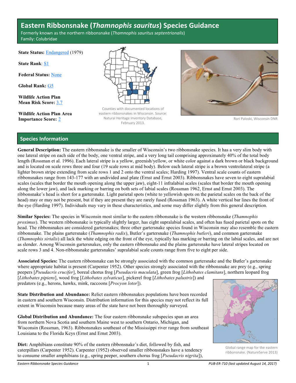 Eastern Ribbonsnake (Thamnophis Sauritus) Species Guidance Formerly Known As the Northern Ribbonsnake (Thamnophis Sauritus Septentrionalis) Family: Colubridae