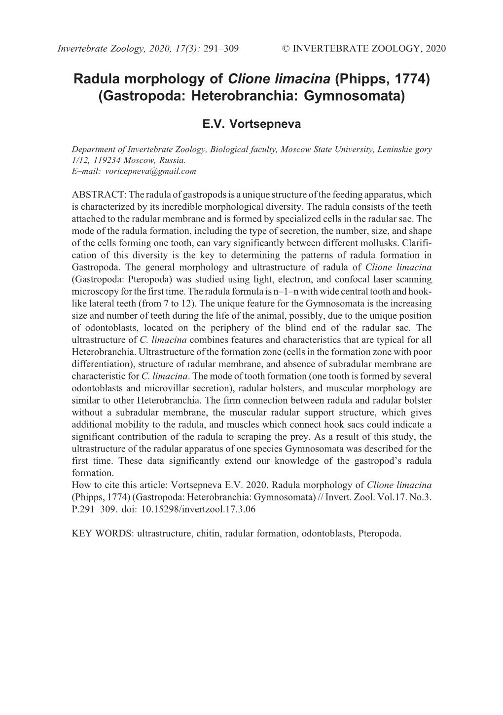 Radula Morphology of Clione Limacina (Phipps, 1774) (Gastropoda: Heterobranchia: Gymnosomata)