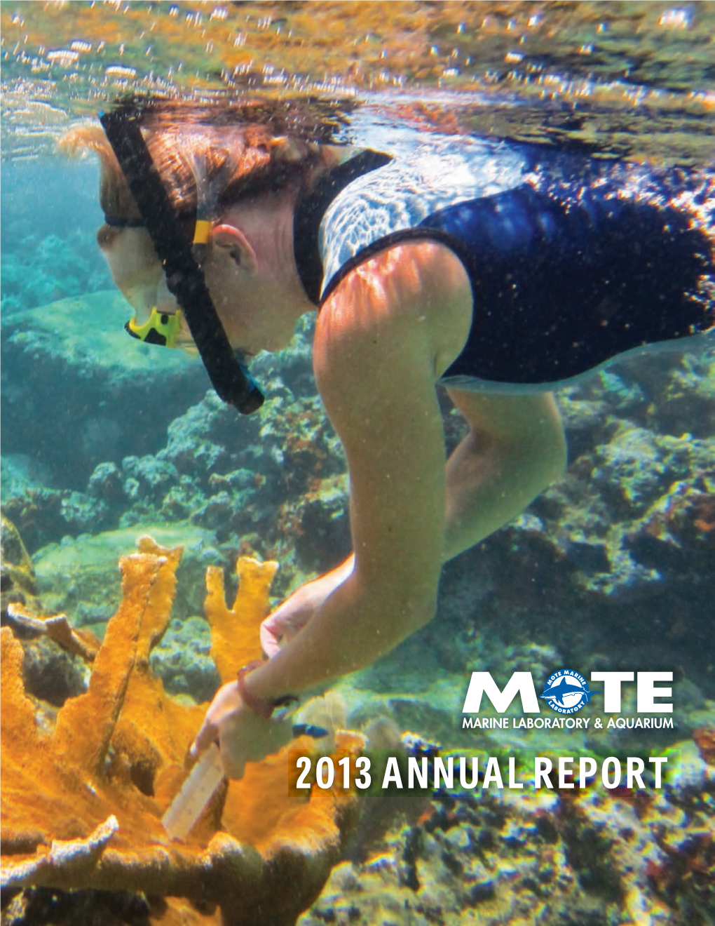 2013 Mote Marine Laboratory & Aquarium Annual Report