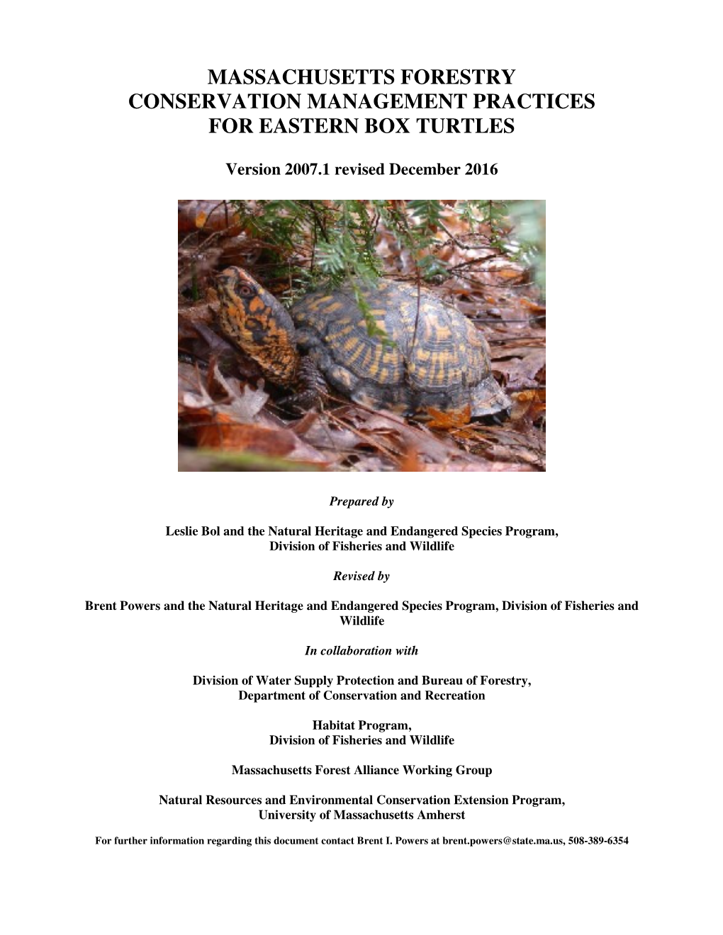 Eastern Box Turtles