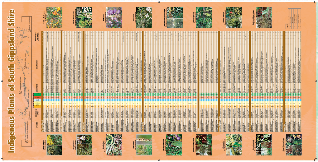 Indigenous Plants of South Gippsland Shire