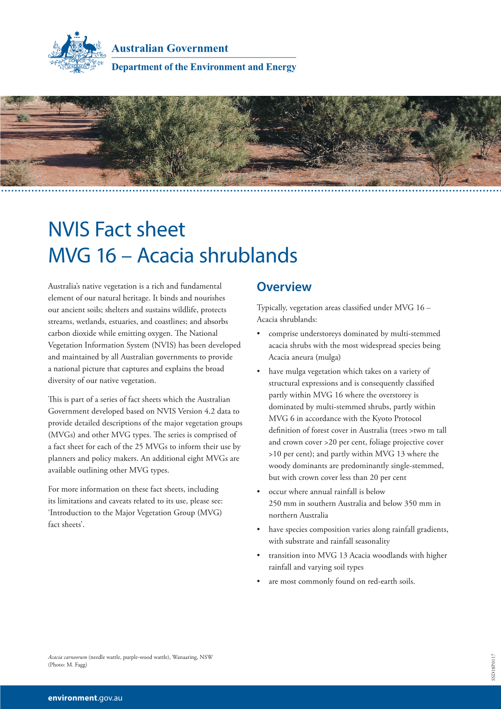 NVIS Fact Sheet MVG 16 – Acacia Shrublands