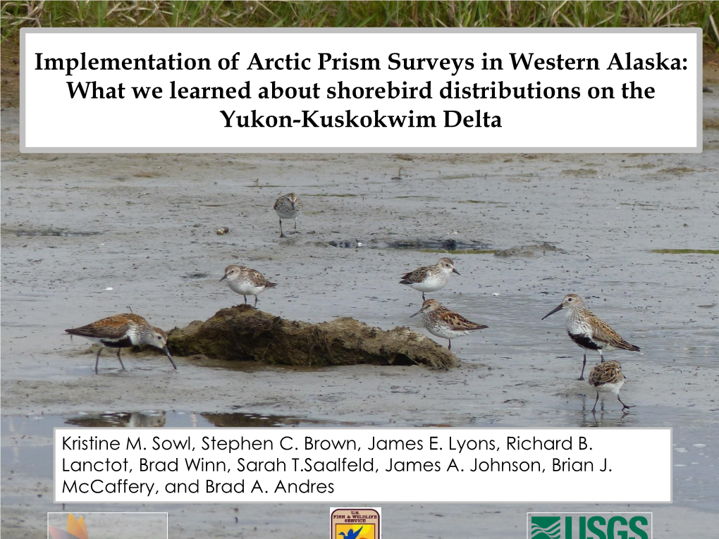 Advancing Our Knowledge About Shorebirds