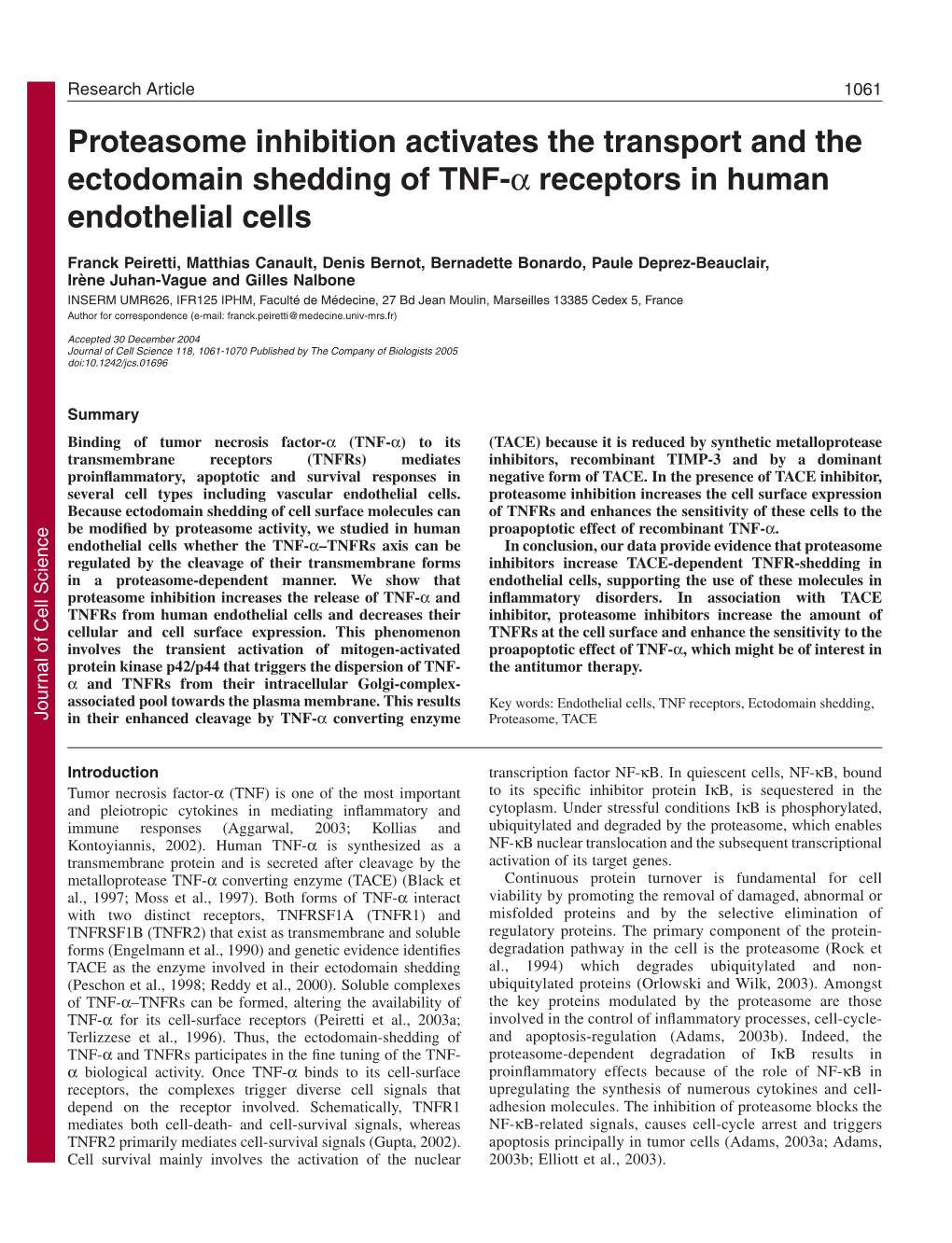 Proteasome Inhibition Activates the Transport and the Ectodomain Shedding of TNF-Α Receptors in Human Endothelial Cells