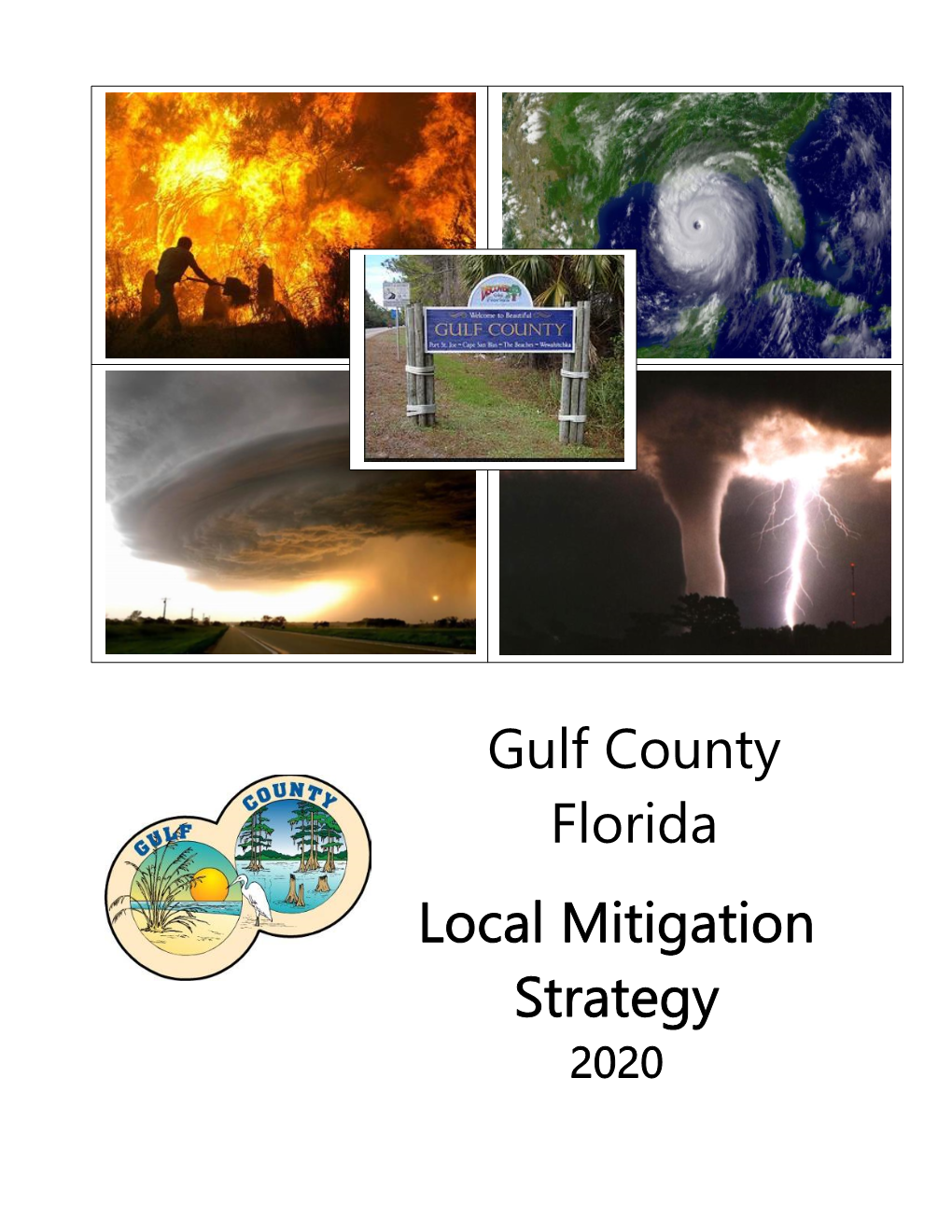 Gulf County Local Mitigation Strategy Plan Is a Local Community Plan, Developed by the LMS Committee