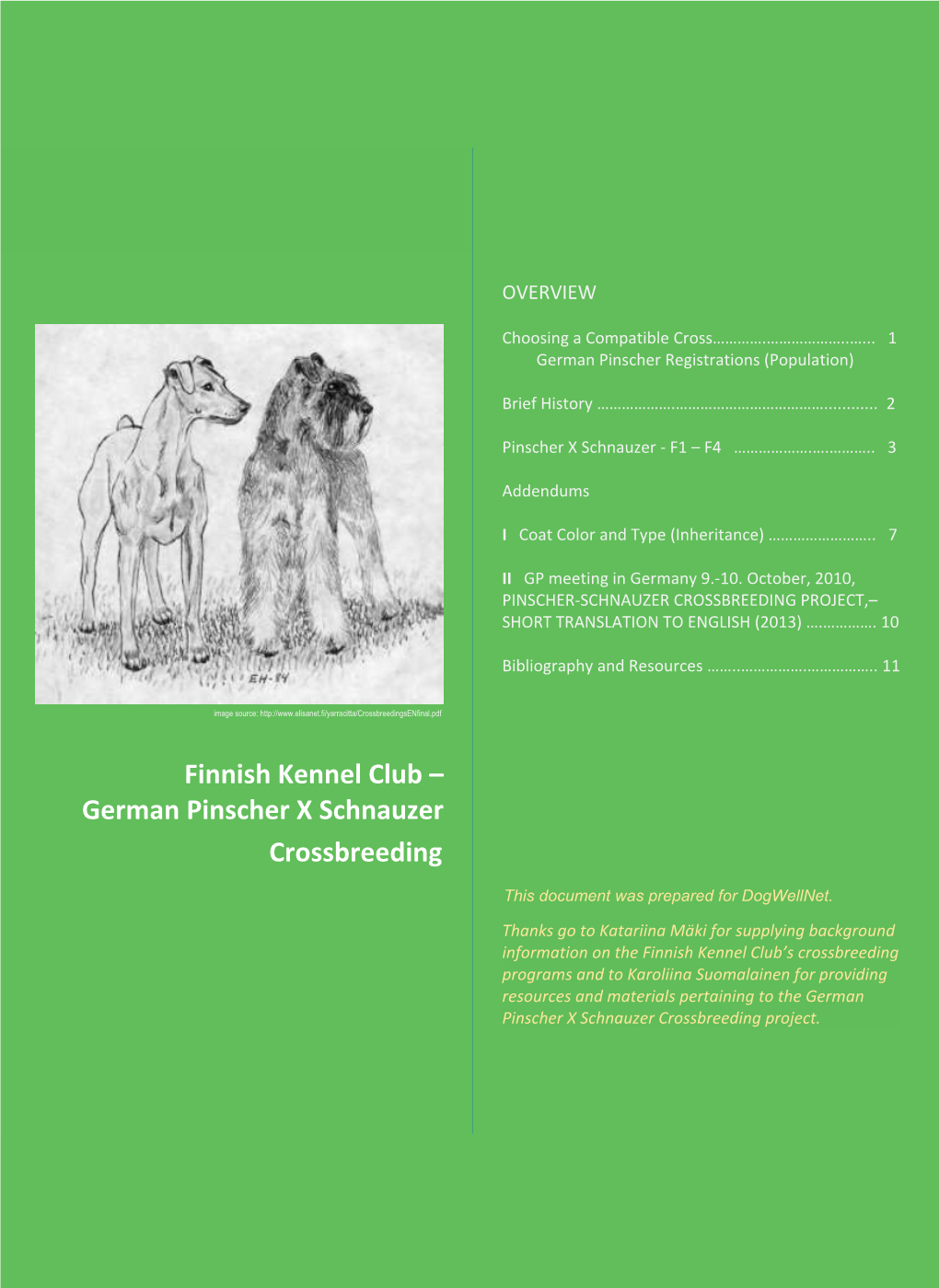 Overview of the German Pinscher X Schnauzer Crossbreeding