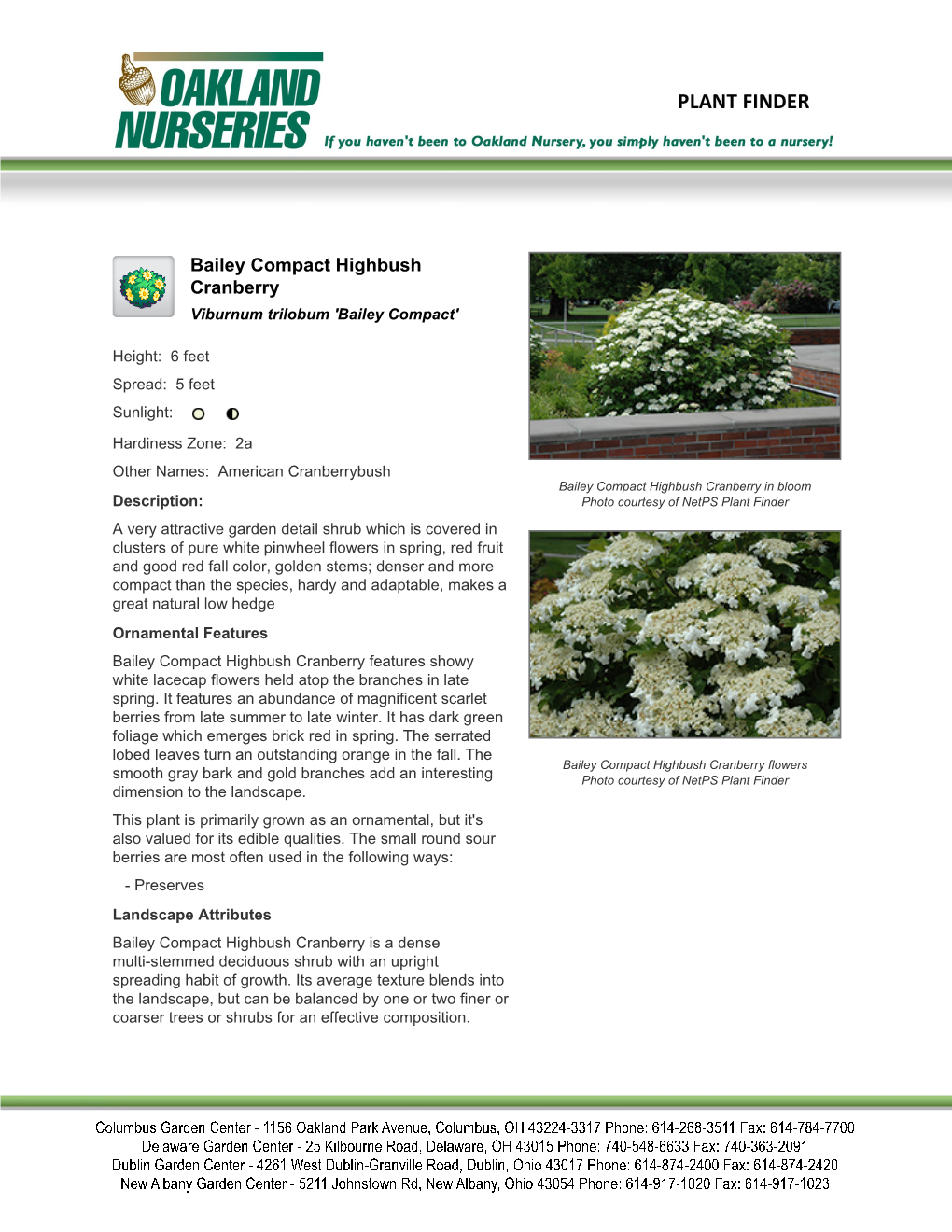 Oakland Nurseries Inc Bailey Compact Highbush Cranberry