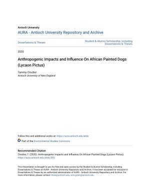 Anthropogenic Impacts and Influence on African Painted Dogs (Lycaon Pictus)