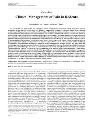 Clinical Management of Pain in Rodents