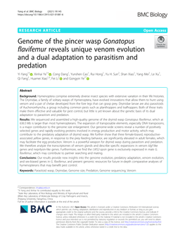 Genome of the Pincer Wasp Gonatopus Flavifemur