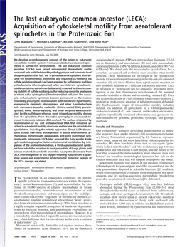 Acquisition of Cytoskeletal Motility from Aerotolerant Spirochetes in the Proterozoic Eon