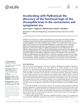 Accelerating with Flybrainlab the Discovery of the Functional Logic Of