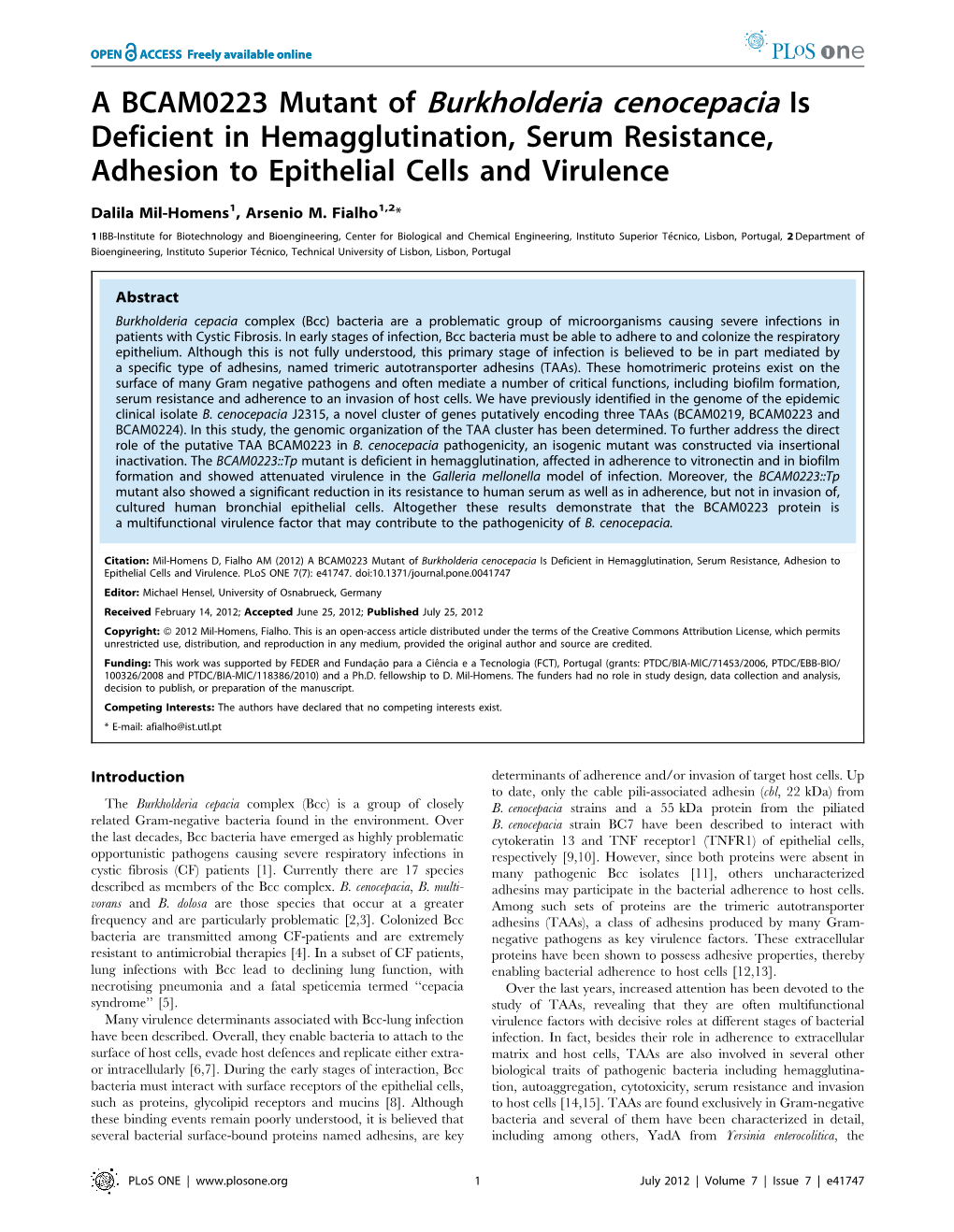 A BCAM0223 Mutant of Burkholderia Cenocepacia Is Deficient in Hemagglutination, Serum Resistance, Adhesion to Epithelial Cells and Virulence