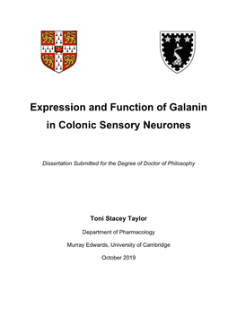 Expression and Function of Galanin in Colonic Sensory Neurones