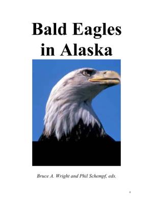 Bald Eagles in Alaska