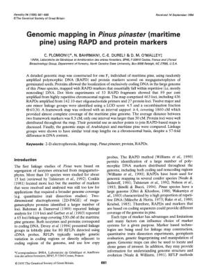 Genomic Mapping in Pinus Pinaster (Maritime Pine) Using RAPD and Protein Markers