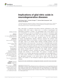 Implications of Glial Nitric Oxide in Neurodegenerative Diseases