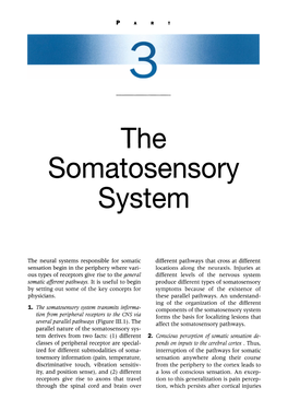 The Somatosensory System