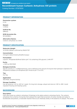 Recombinant Human Carbonic Anhydrase XIII Protein Catalog Number: ATGP3059