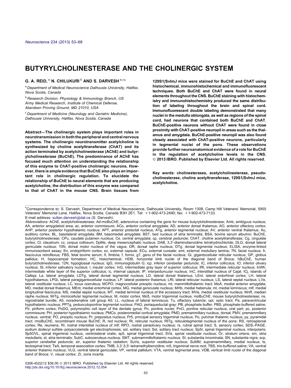 Butyrylcholinesterase and the Cholinergic System