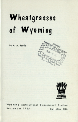 Wheatgrasses of Wyoming