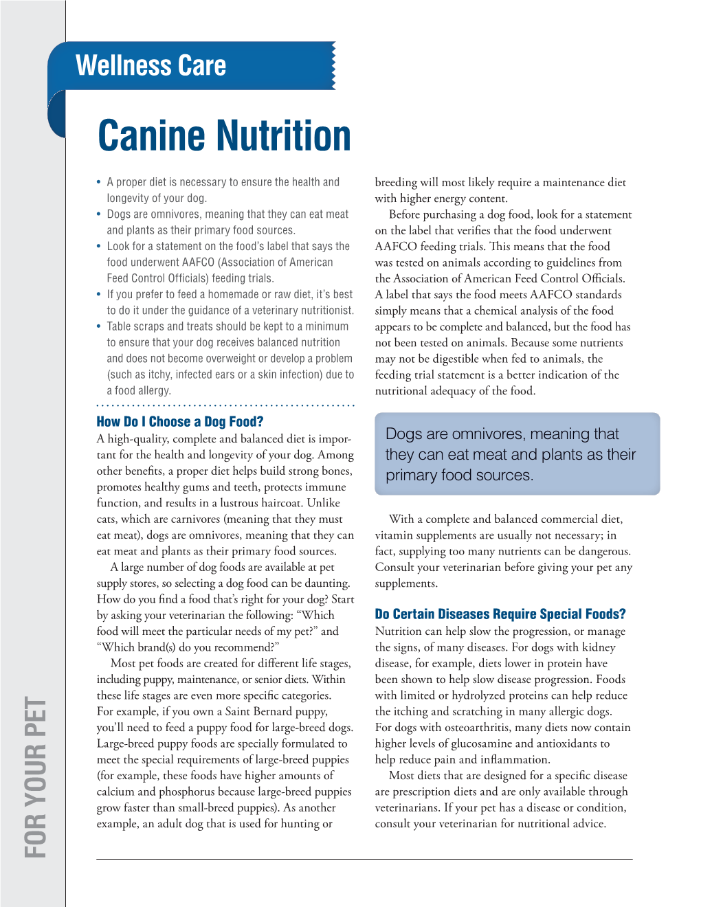 Canine Nutrition a Food Allergy