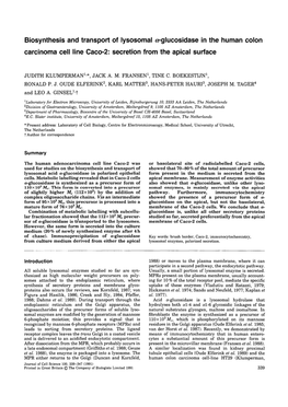 Biosynthesis and Transport of Lysosomal A-Glucosidase in the Human Colon Carcinoma Cell Line Caco-2: Secretion from the Apical Surface