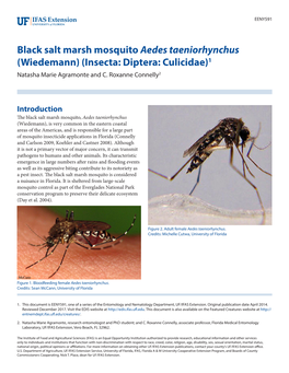 Black Salt Marsh Mosquito Aedes Taeniorhynchus (Wiedemann) (Insecta: Diptera: Culicidae)1 Natasha Marie Agramonte and C