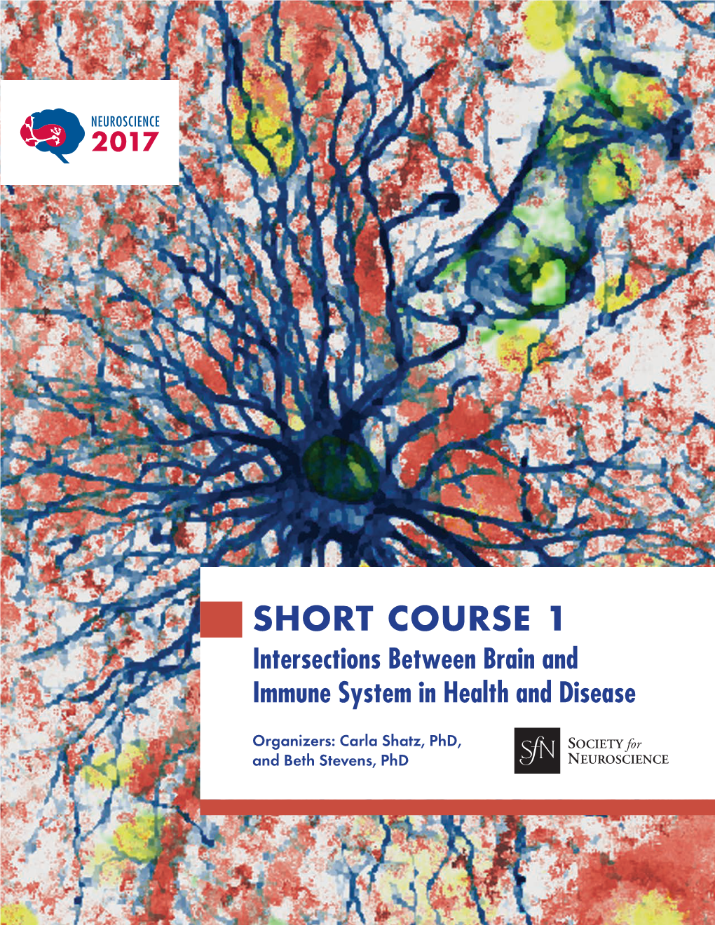 SHORT COURSE 1 Intersections Between Brain and Immune System in Health and Disease