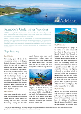 Komodo's Underwater Wonders