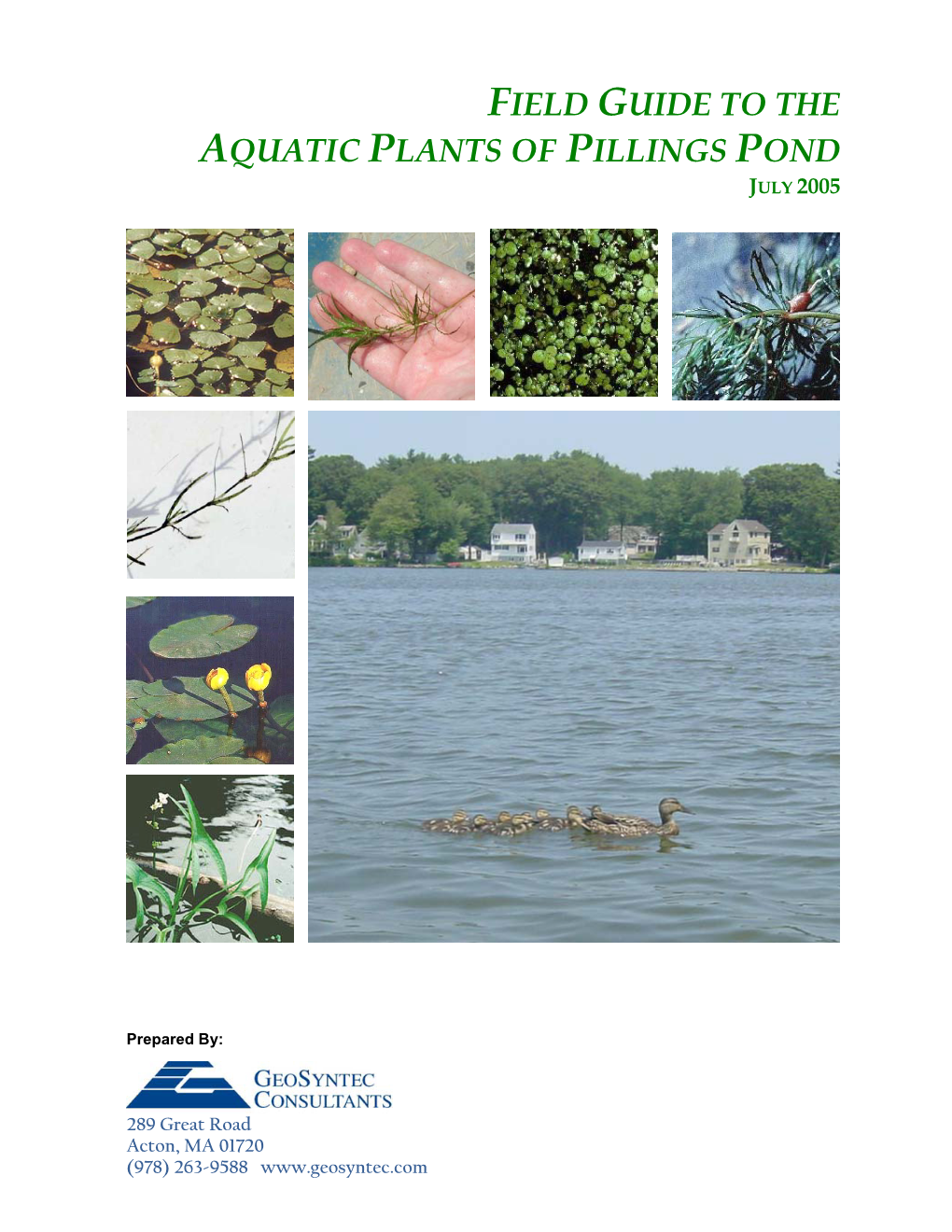 Field Guide to the Aquatic Plants of Pillings Pond July 2005