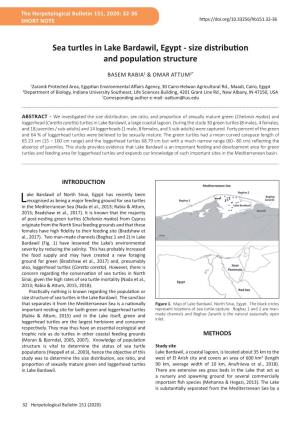 Sea Turtles in Lake Bardawil, Egypt - Size Distribution and Population Structure