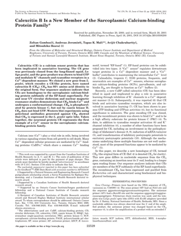 Calexcitin B Is a New Member of the Sarcoplasmic Calcium-Binding Protein Family*