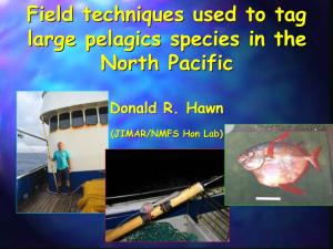 Field Techniques Used to Tag Large Pelagic Species In