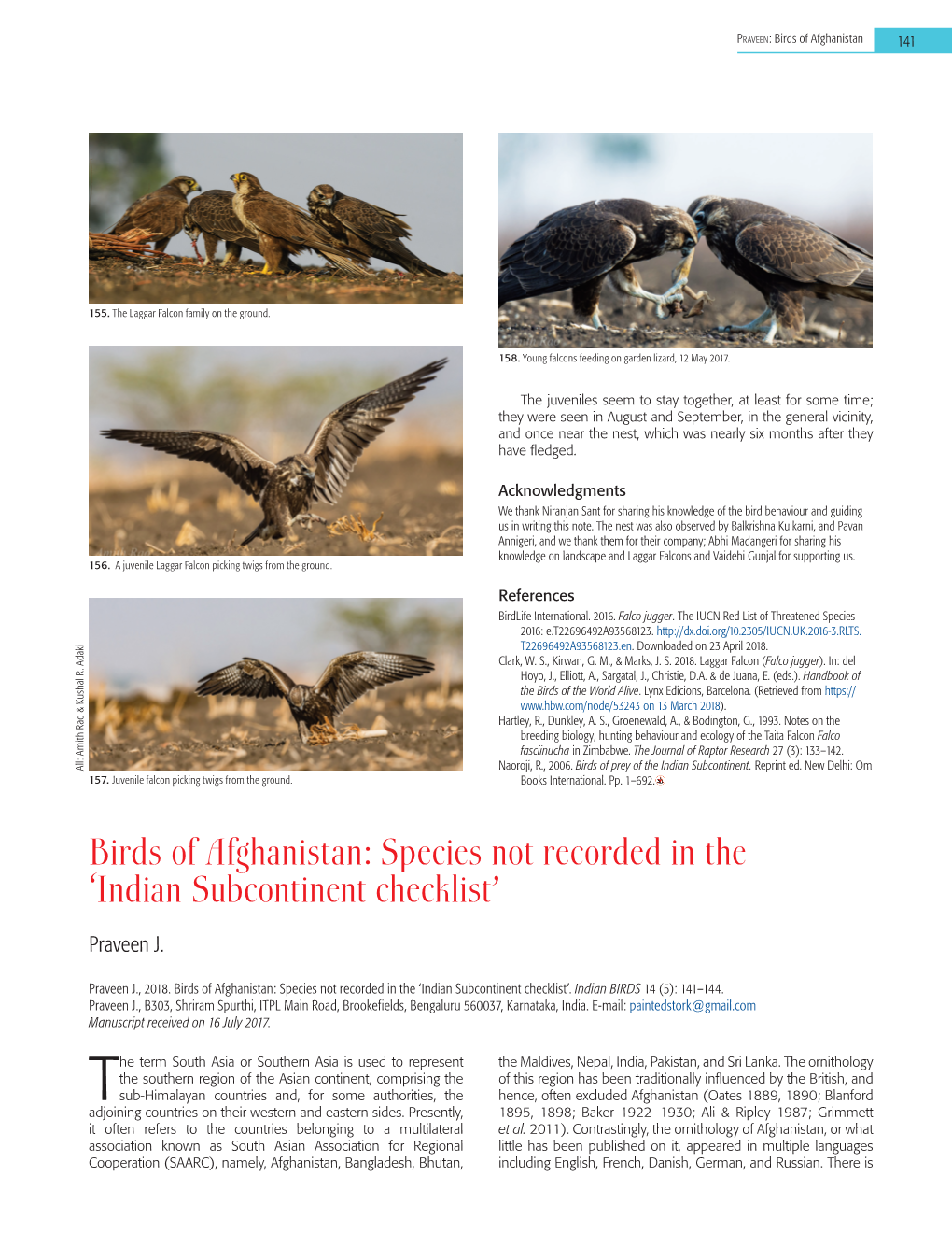 Birds of Afghanistan: Species Not Recorded in the 'Indian