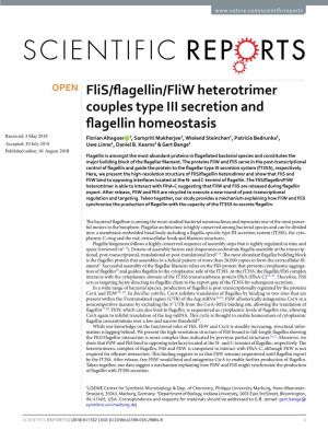 Flis/Flagellin/Fliw Heterotrimer Couples Type III Secretion and Flagellin