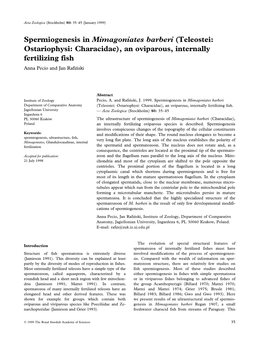 Spermiogenesis in Mimagoniates Barberi (Teleostei: Ostariophysi: Characidae), an Oviparous, Internally Fertilizing Fish Anna Pecio and Jan Rafinâski