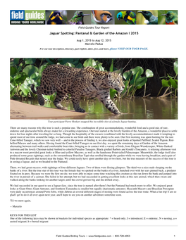 Jaguar Spotting: Pantanal & Garden of the Amazon I 2015