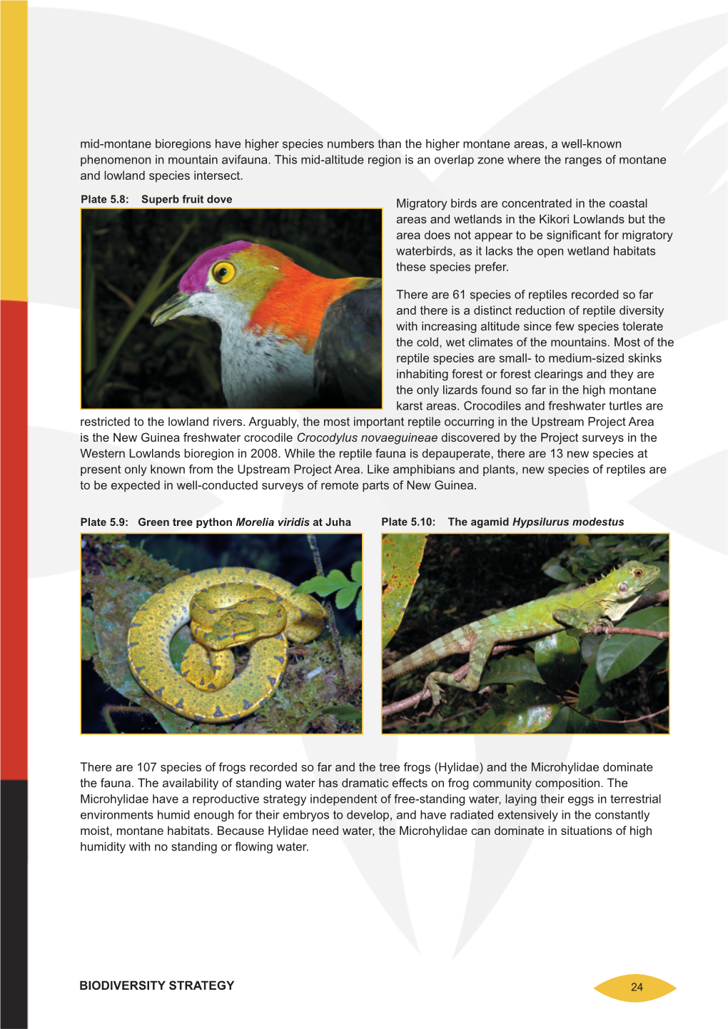 Mid-Montane Bioregions Have Higher Species Numbers Than the Higher Montane Areas, a Well-Known Phenomenon in Mountain Avifauna